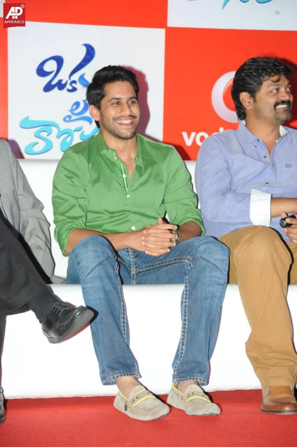 Naga Chaitanya at Vodafone Oka Laila Kosam Meet n Greet