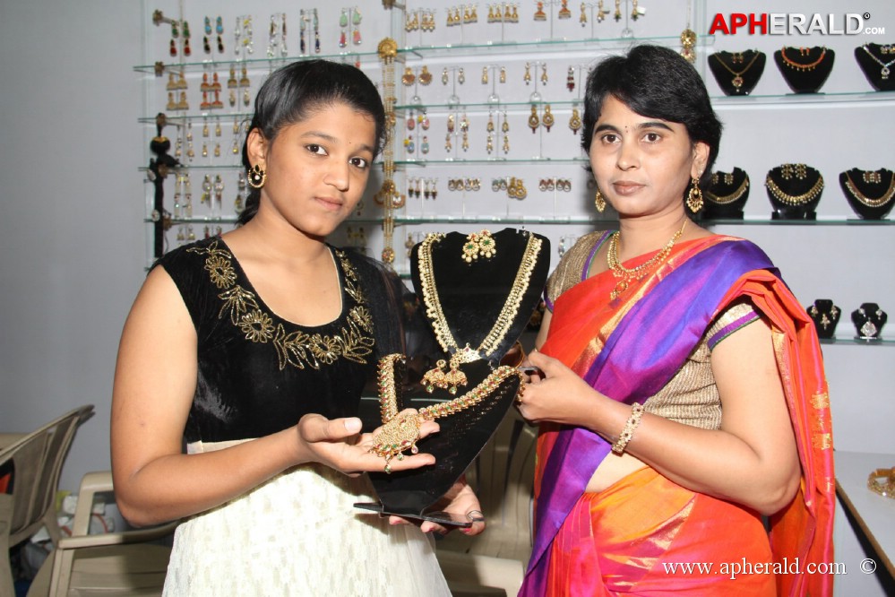 Weaves expo kicked off at kamma sangam