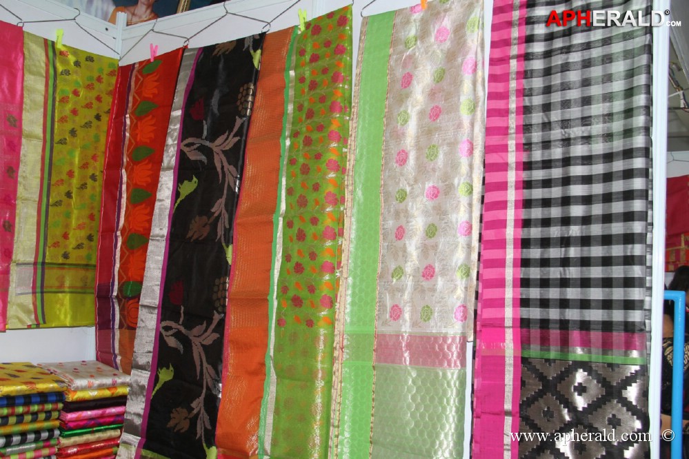 Weaves expo kicked off at kamma sangam