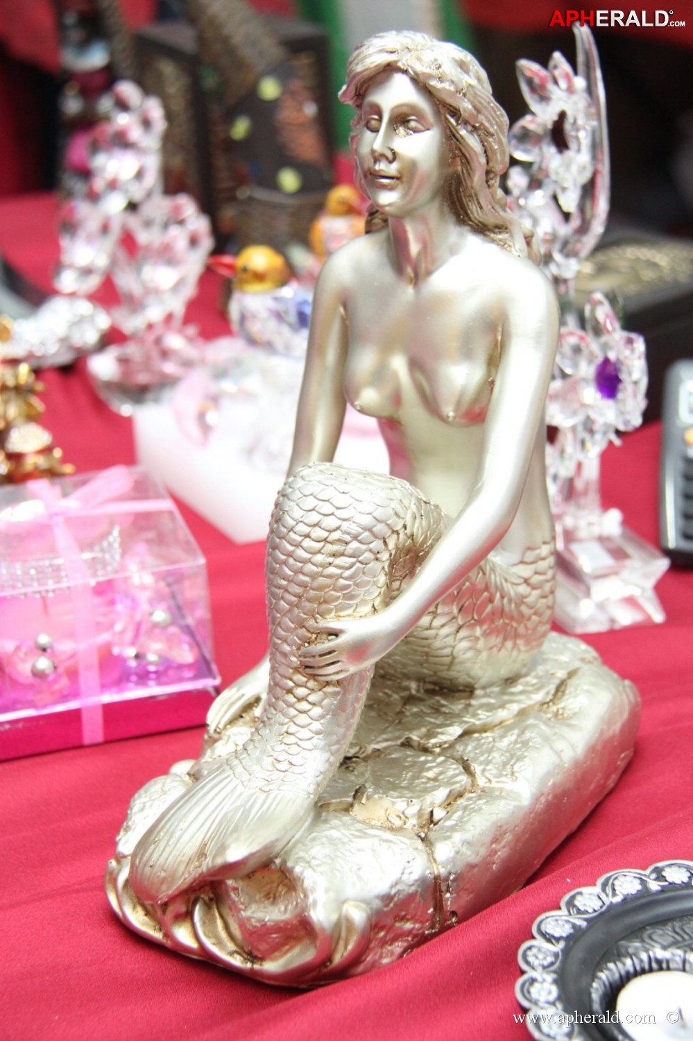 Weaves expo kicked off at kamma sangam