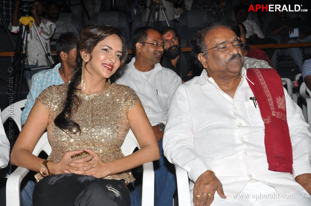 Writer Movie Audio Launch