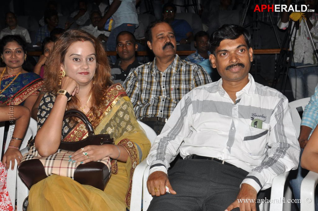 Writer Movie Audio Launch