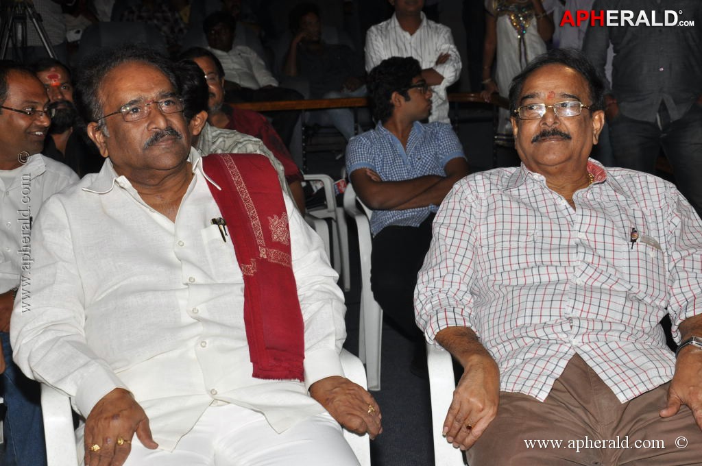 Writer Movie Audio Launch