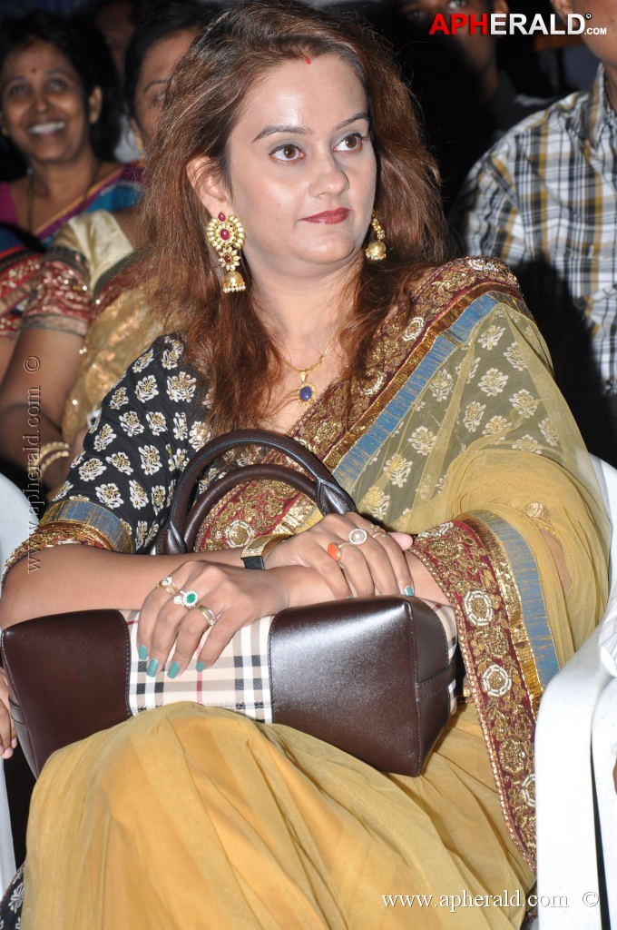 Writer Movie Audio Launch