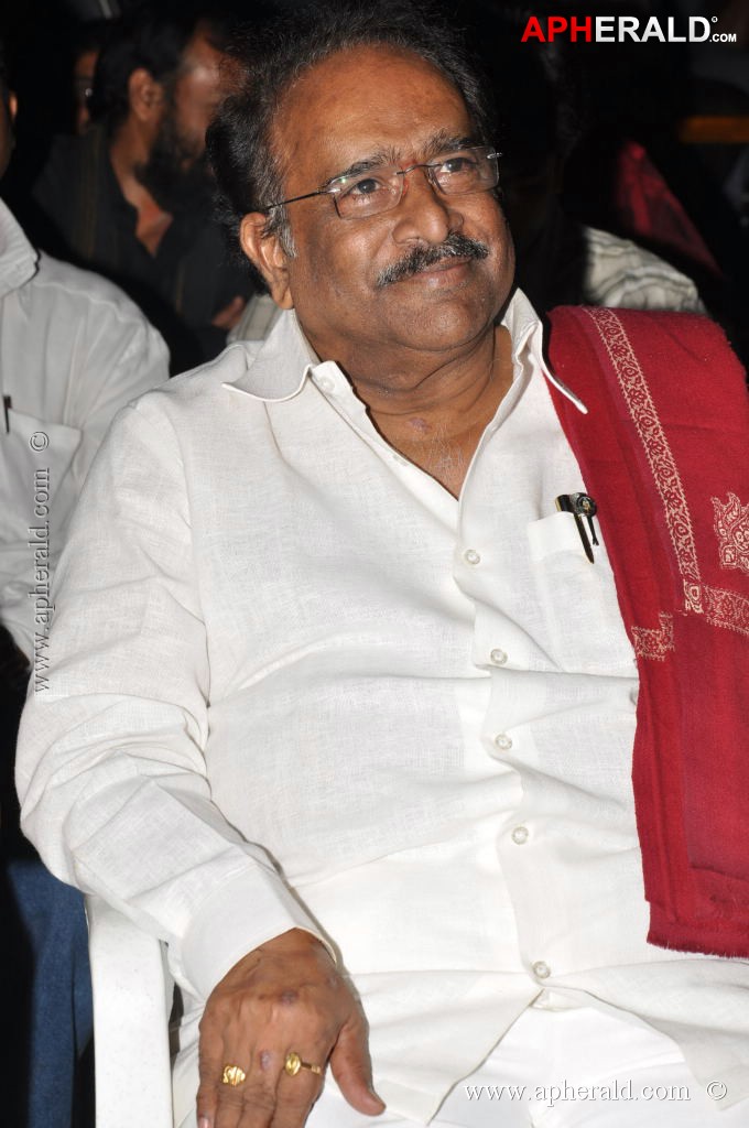 Writer Movie Audio Launch