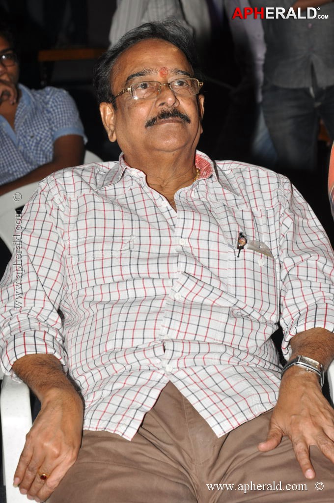 Writer Movie Audio Launch