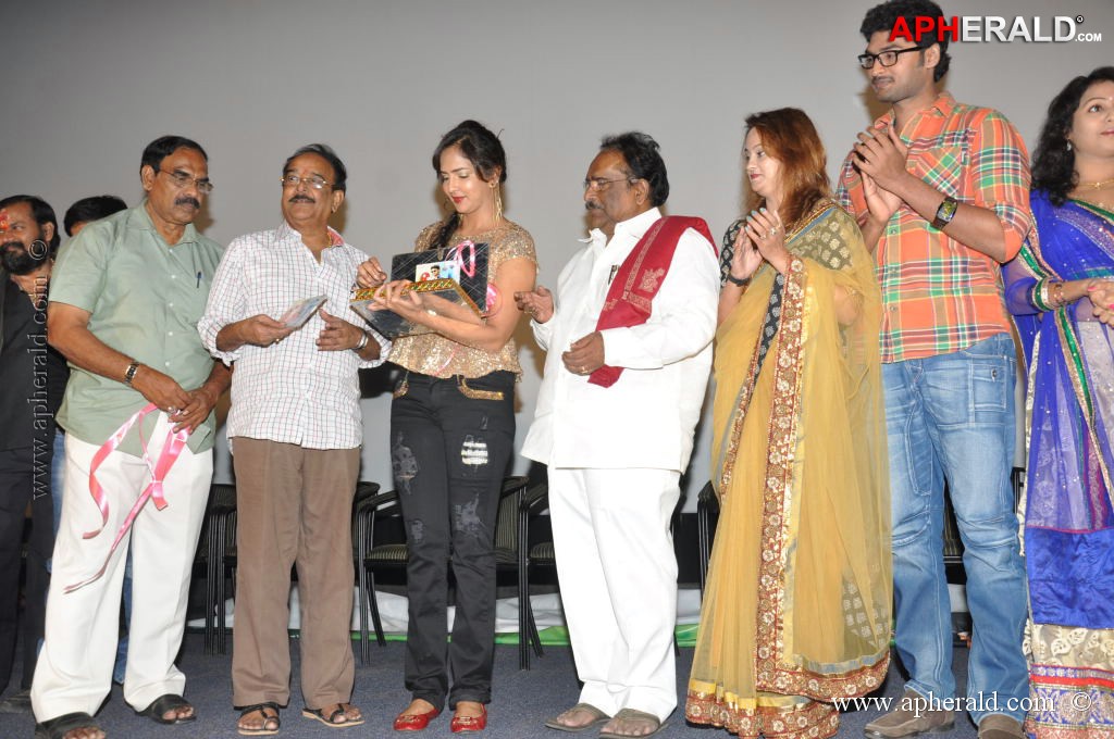 Writer Movie Audio Launch