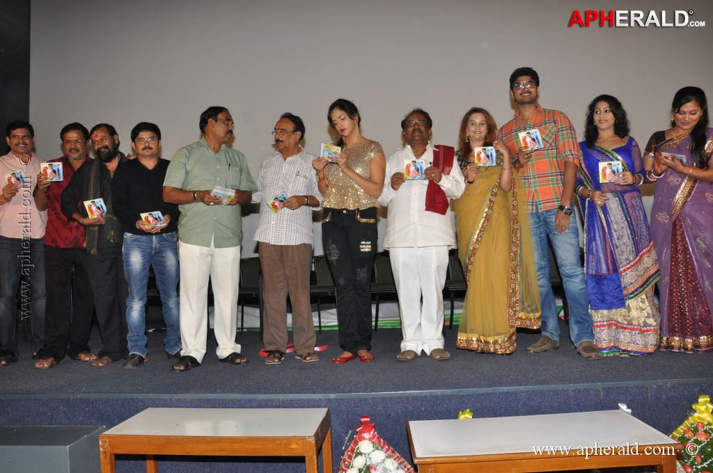 Writer Movie Audio Launch