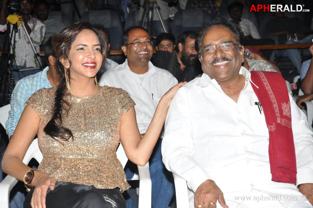 Writer Movie Audio Launch