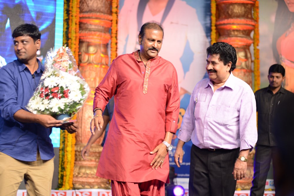 Yamaleela 2 Audio Success Meet Stills