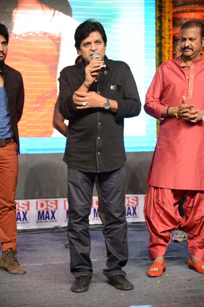 Yamaleela 2 Audio Success Meet Stills