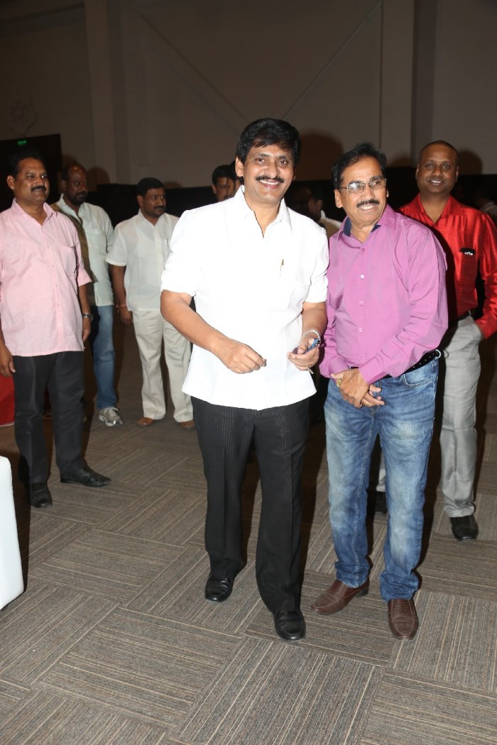 Yamaleela 2 Audio Success Meet Stills