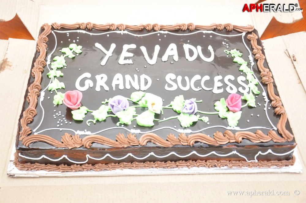 Yevadu Grand Success Meet