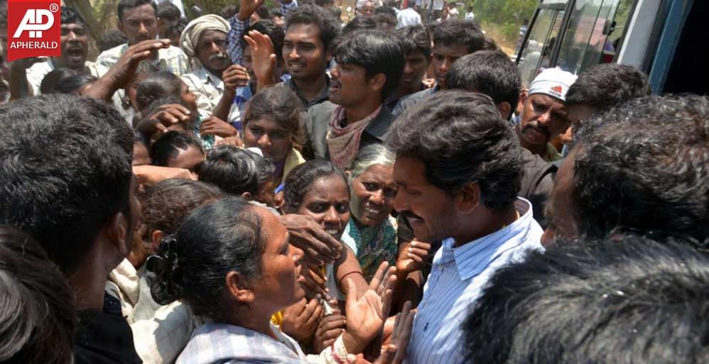 YS Jagan Campaign Photos