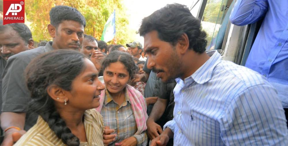 YS Jagan Campaign Photos