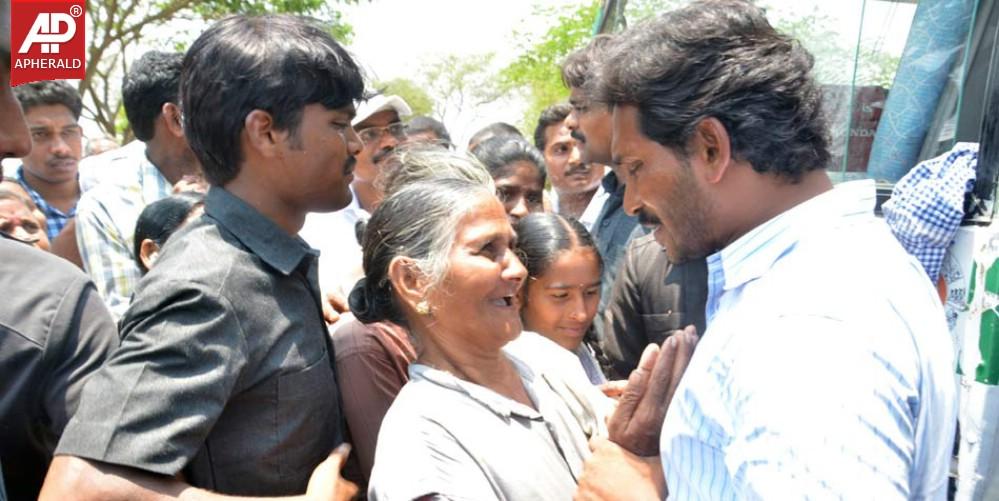 YS Jagan Campaign Photos