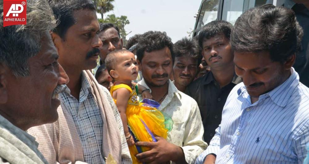 YS Jagan Campaign Photos