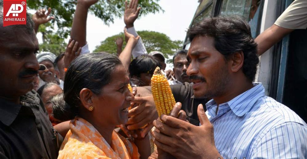 YS Jagan Campaign Photos