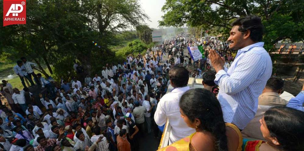 YS Jagan Campaign Photos