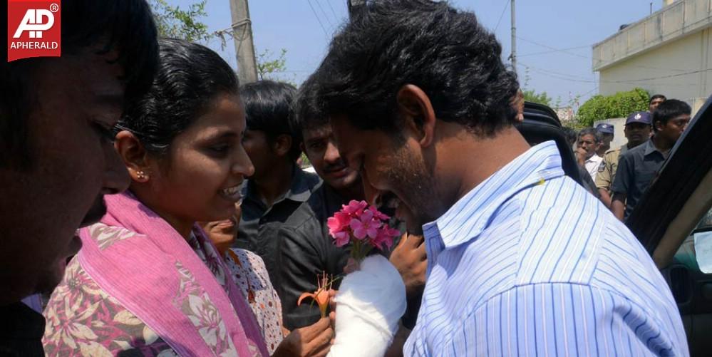 YS Jagan Campaign Photos