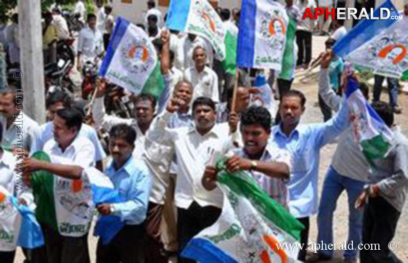 YS Jagan Mohan Bail Celebrations