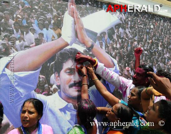 YS Jagan Mohan Bail Celebrations