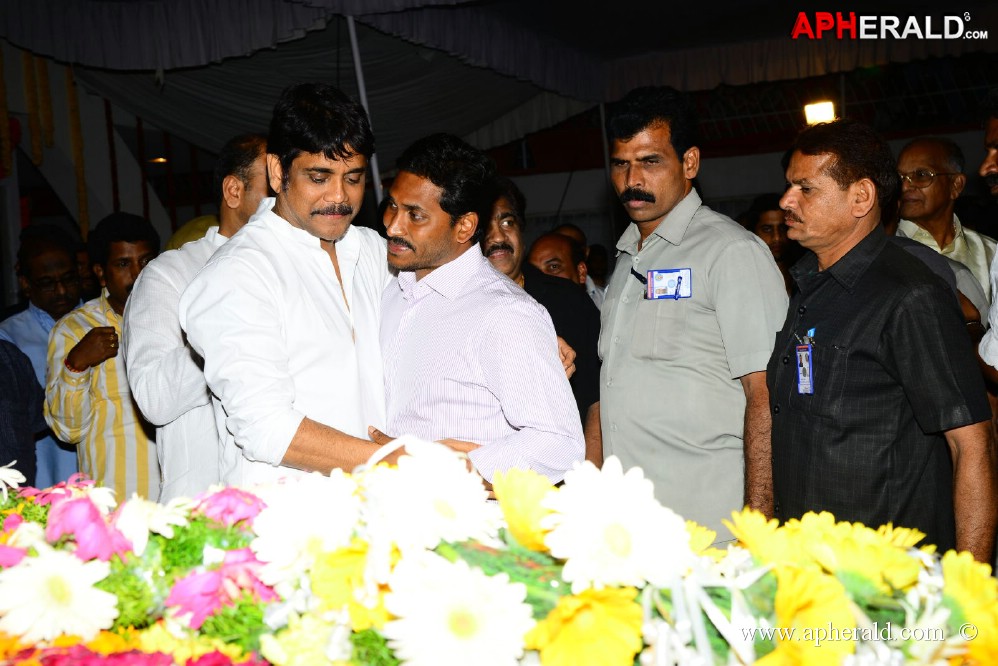 YS Jagan visited ANR