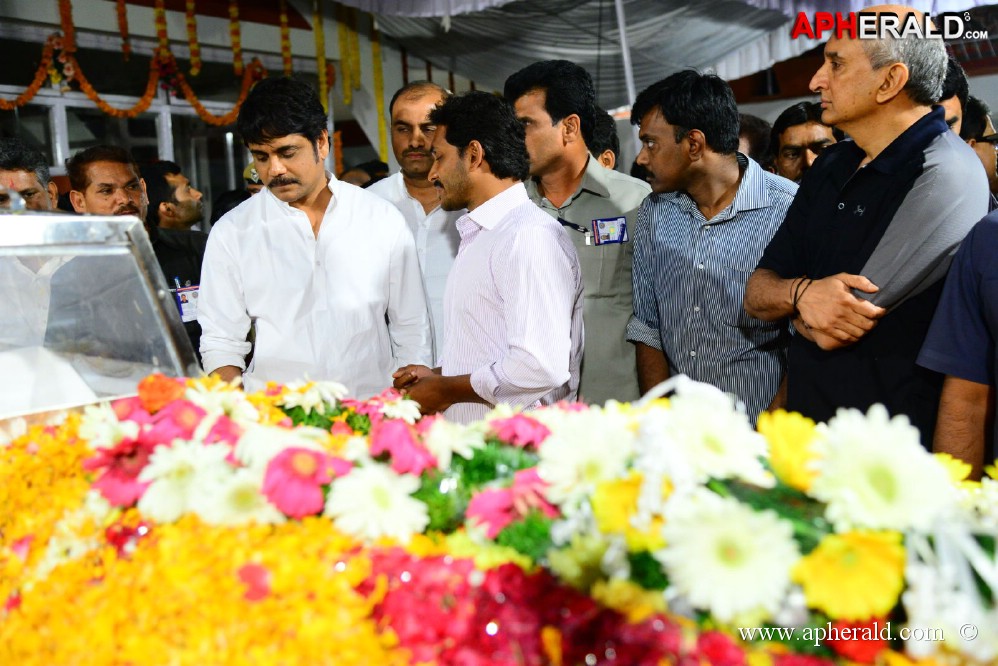 YS Jagan visited ANR