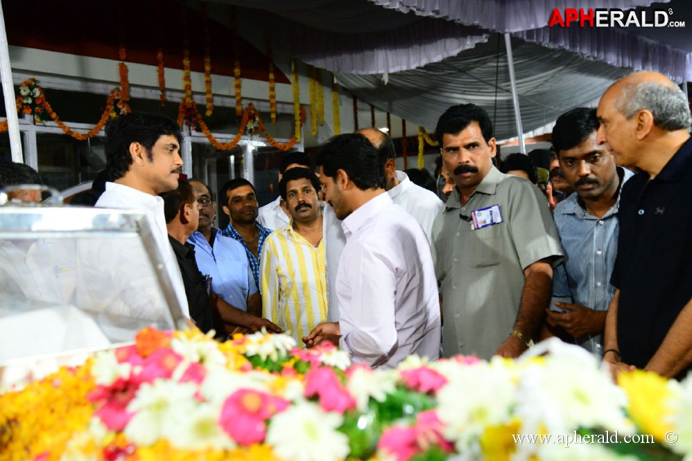 YS Jagan visited ANR