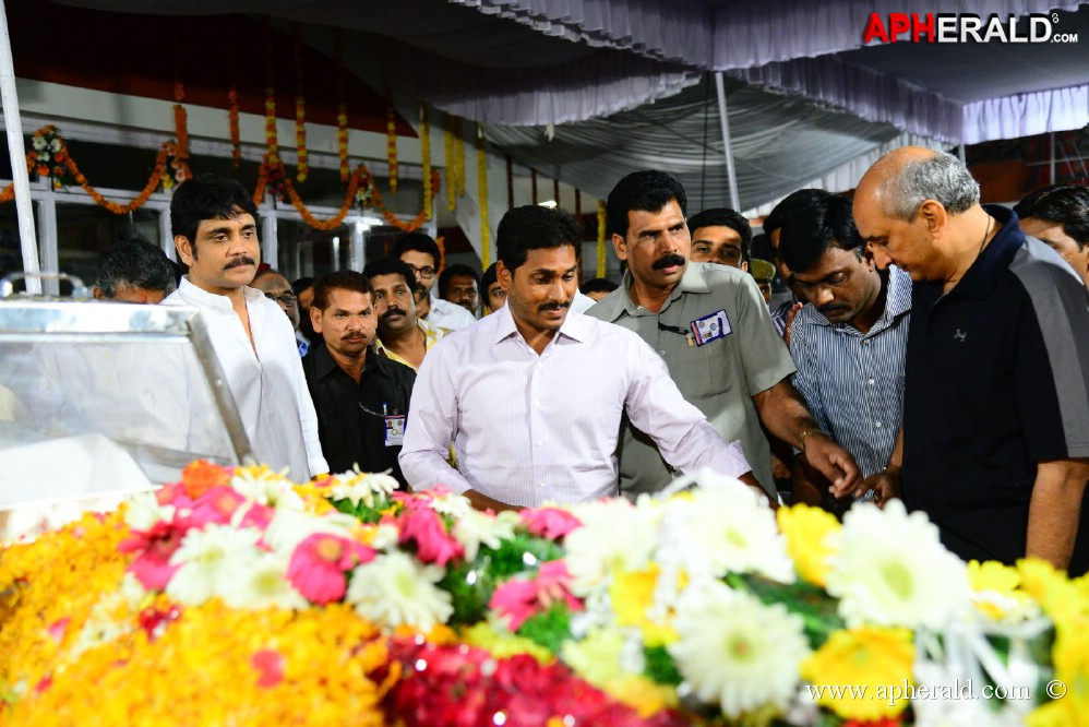 YS Jagan visited ANR