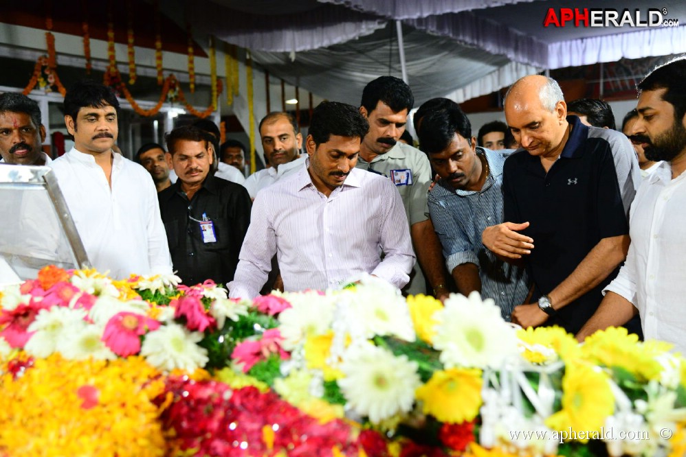 YS Jagan visited ANR