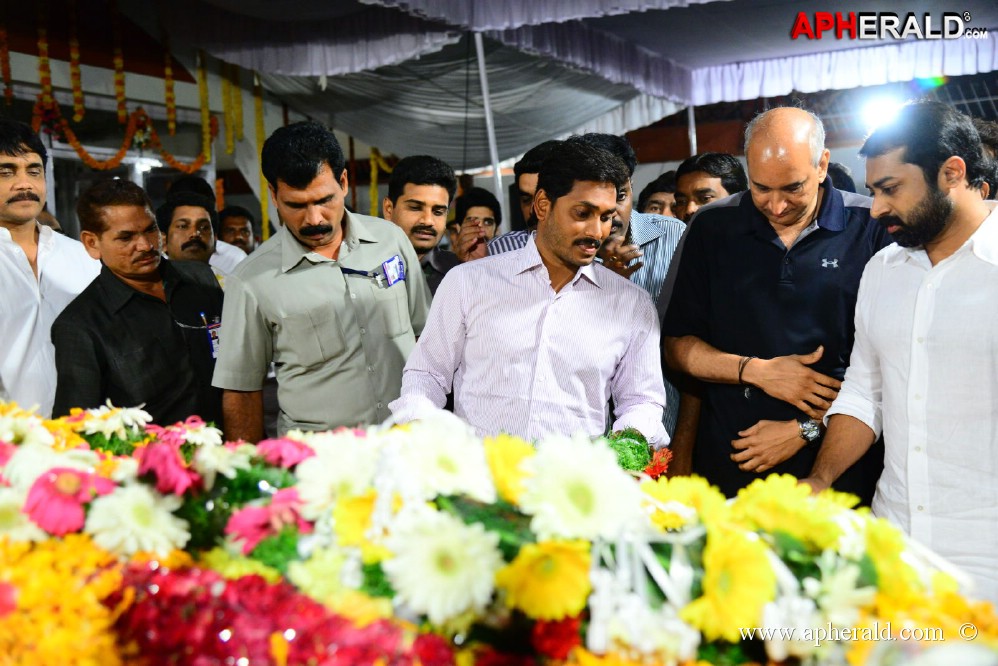 YS Jagan visited ANR