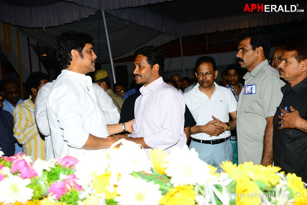 YS Jagan visited ANR