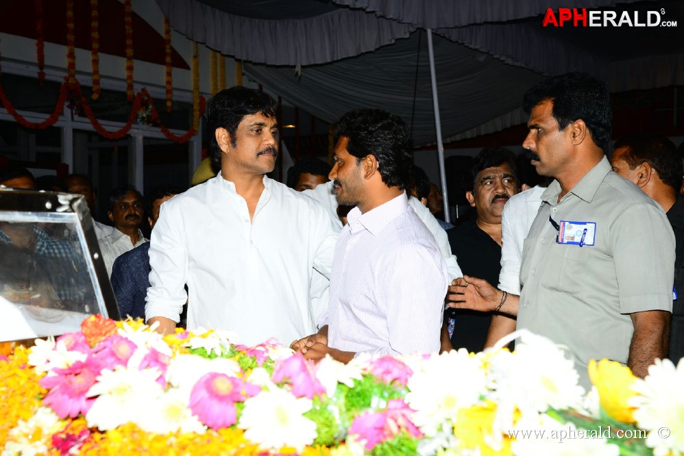 YS Jagan visited ANR