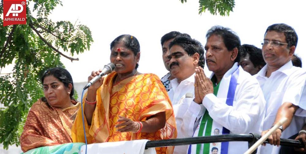 YSRCP Jana Bheri Photos