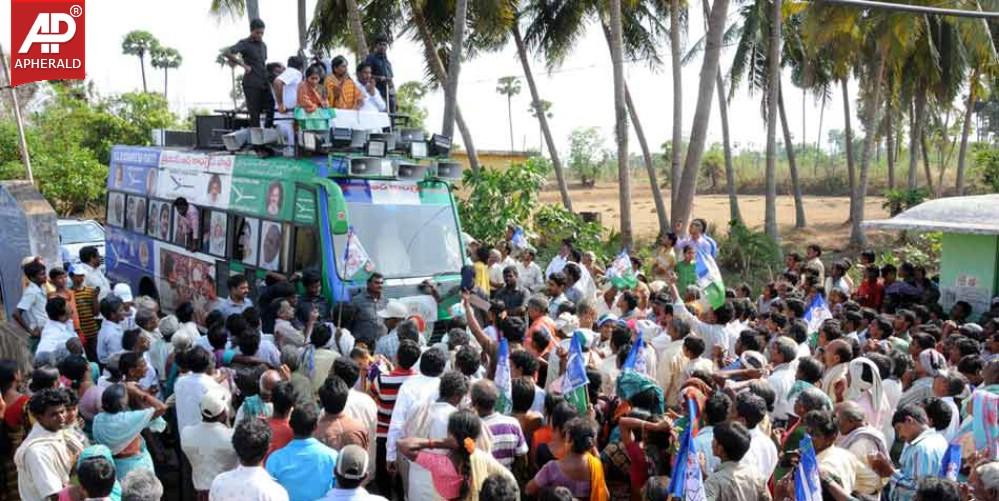 YSRCP Jana Bheri Photos