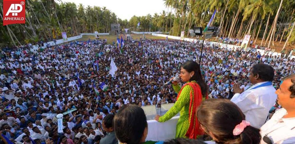 YSRCP Jana Bheri Photos