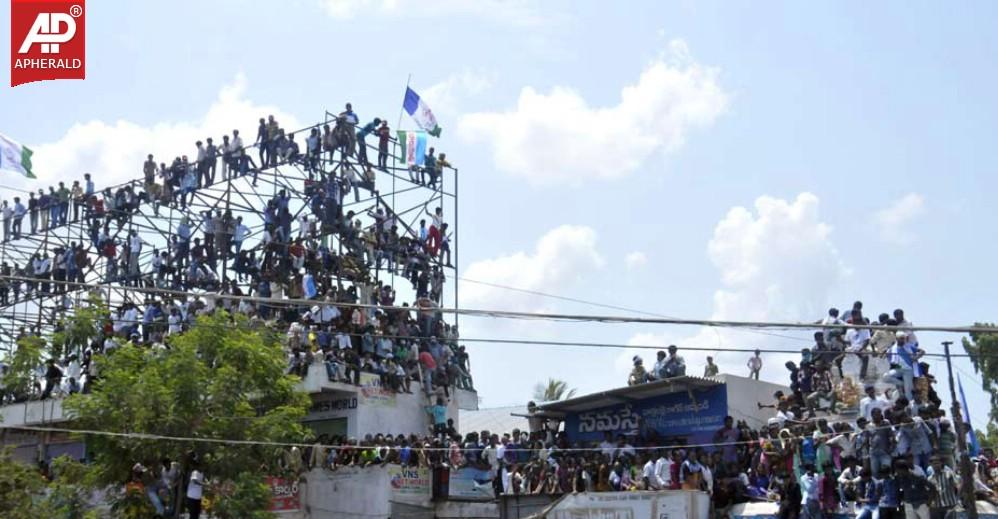 YSRCP Jana Bheri Photos