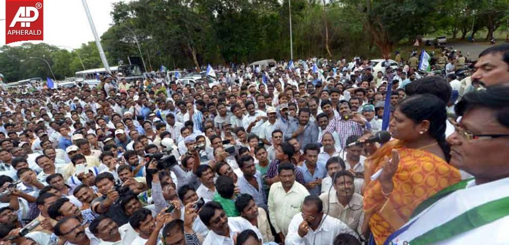 YSRCP Jana Bheri Photos