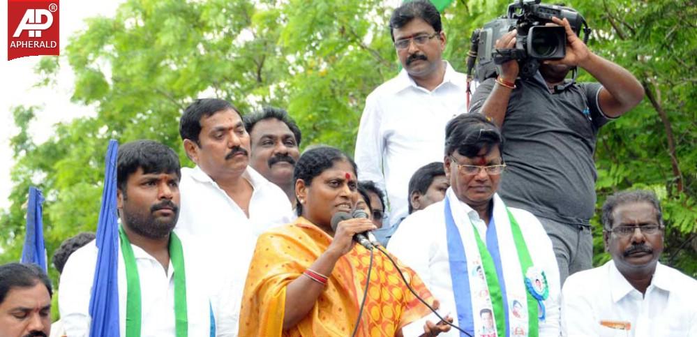 YSRCP Jana Bheri Photos