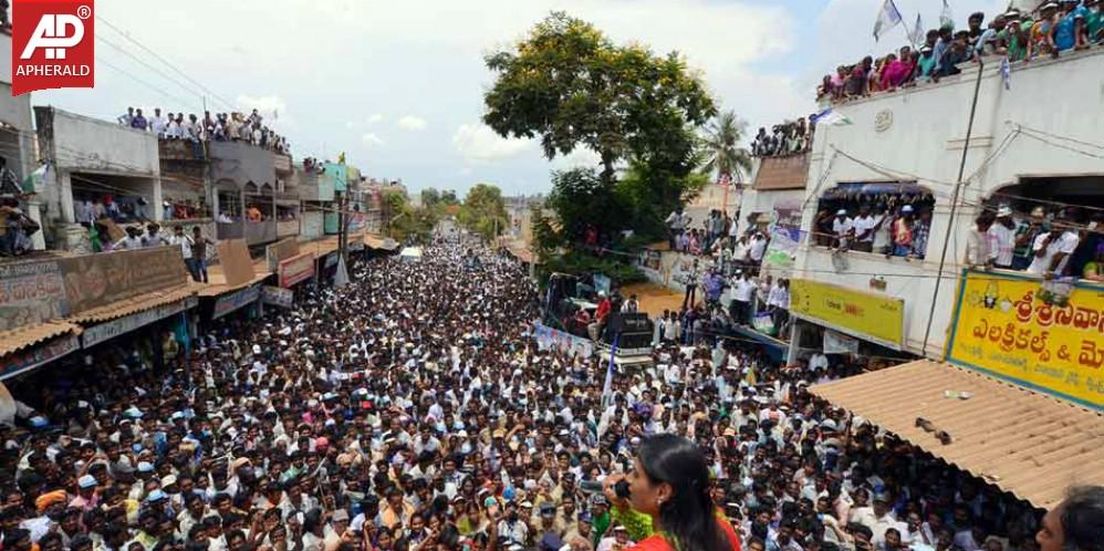 YSRCP Jana Bheri Photos