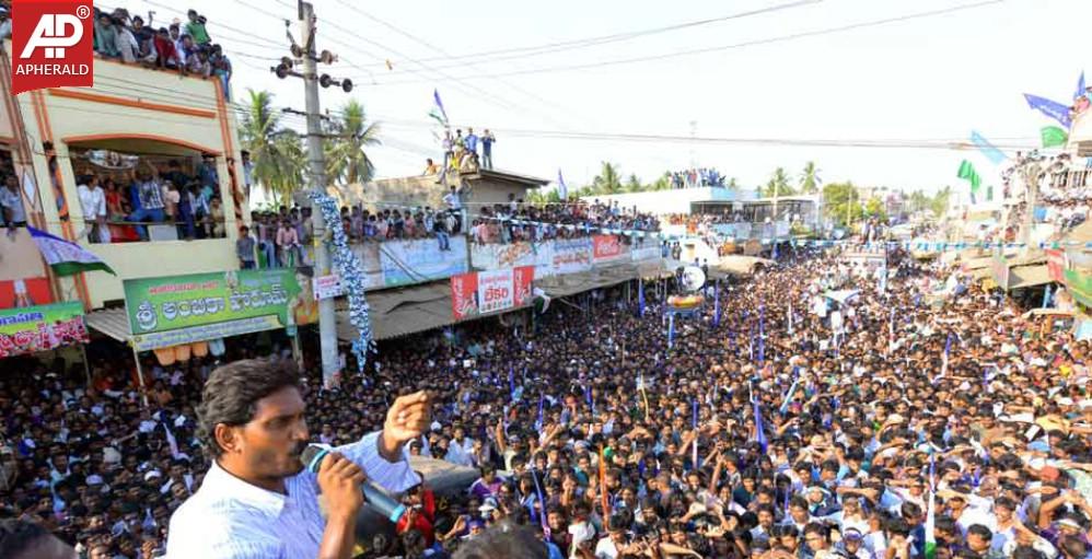 YSRCP Jana Bheri Photos