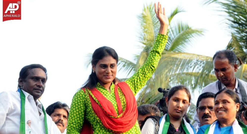 YSRCP Jana Bheri Photos