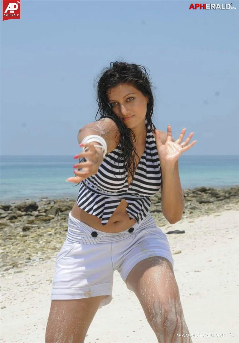 Actress Hamsa Nandini Hot Gallery