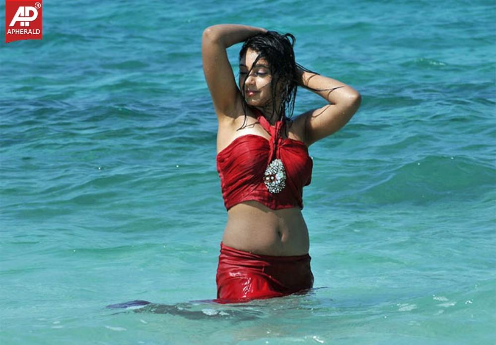 Actress Hot Navel Show