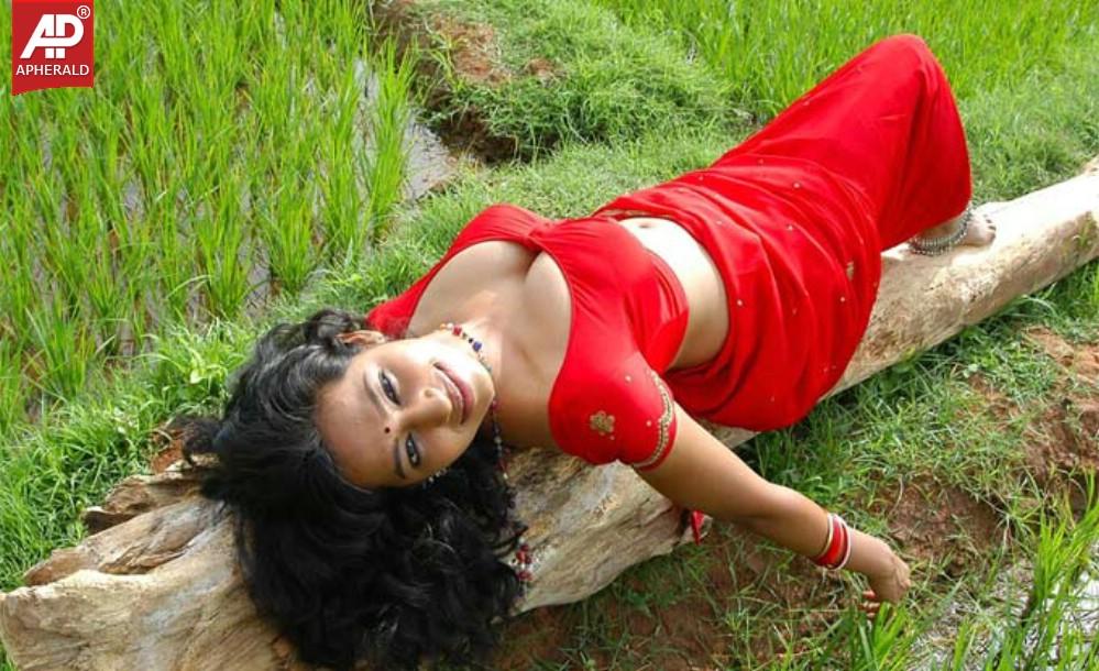 Actress Hot Photo Gallery