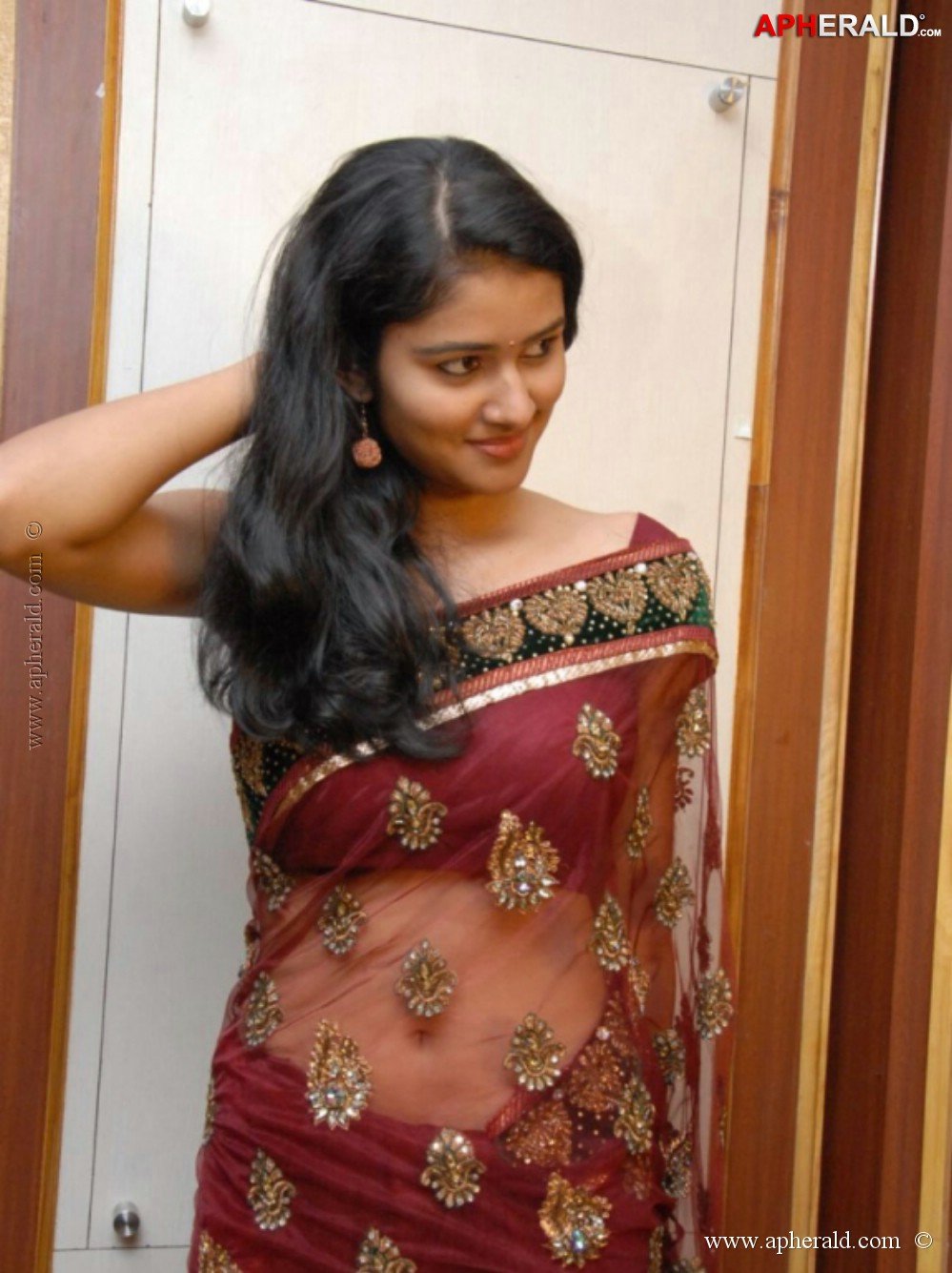 Actress Hot Transparent Saree Pics