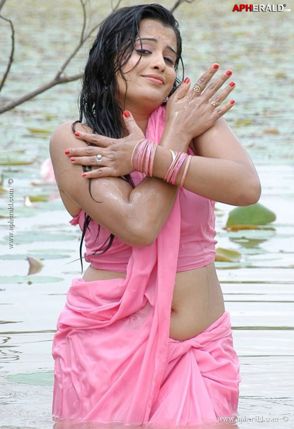 Actress Hot Transparent Saree Pics