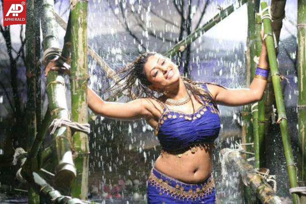 Actress Malavika Spicy Photo Gallery