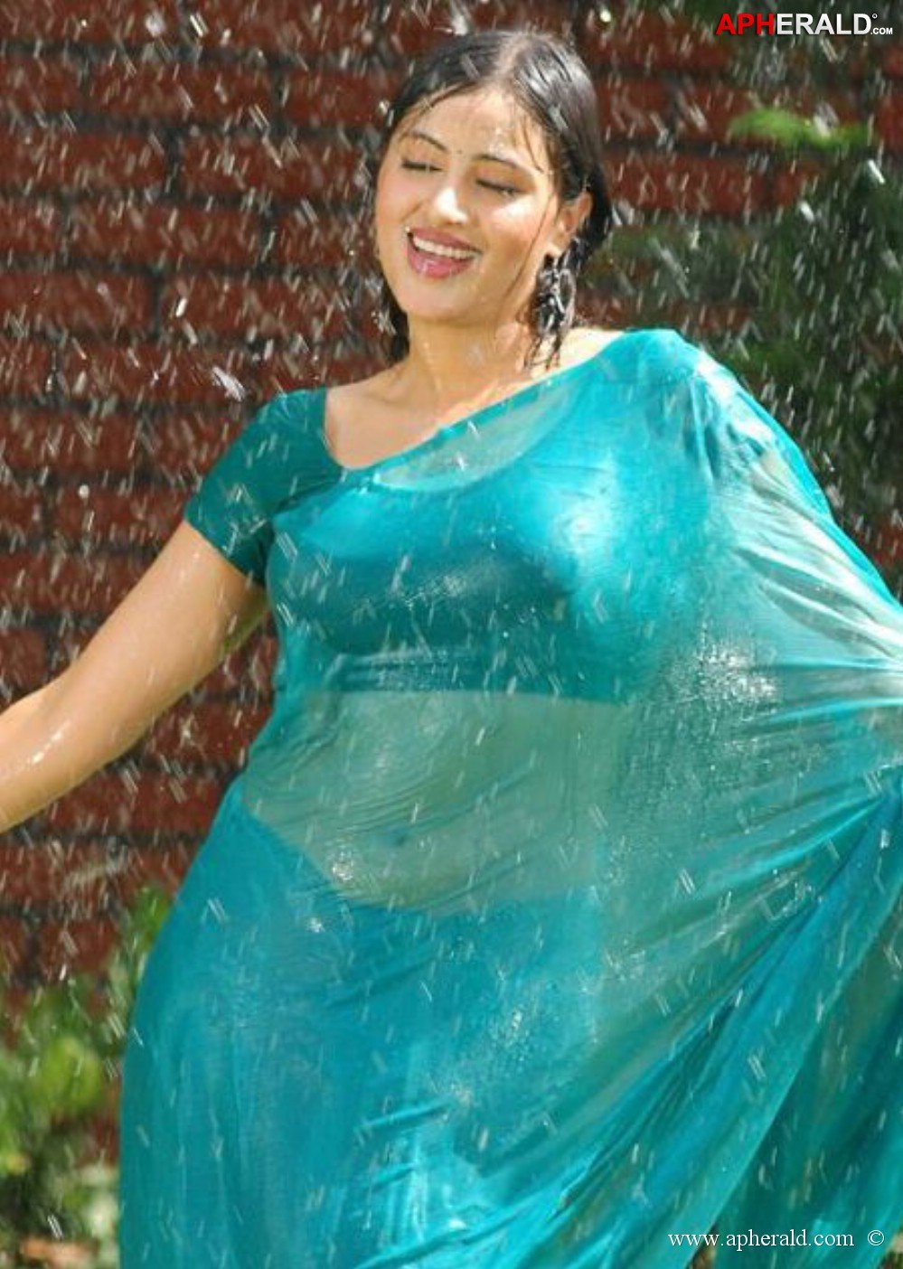 Actress Wet Saree Pics